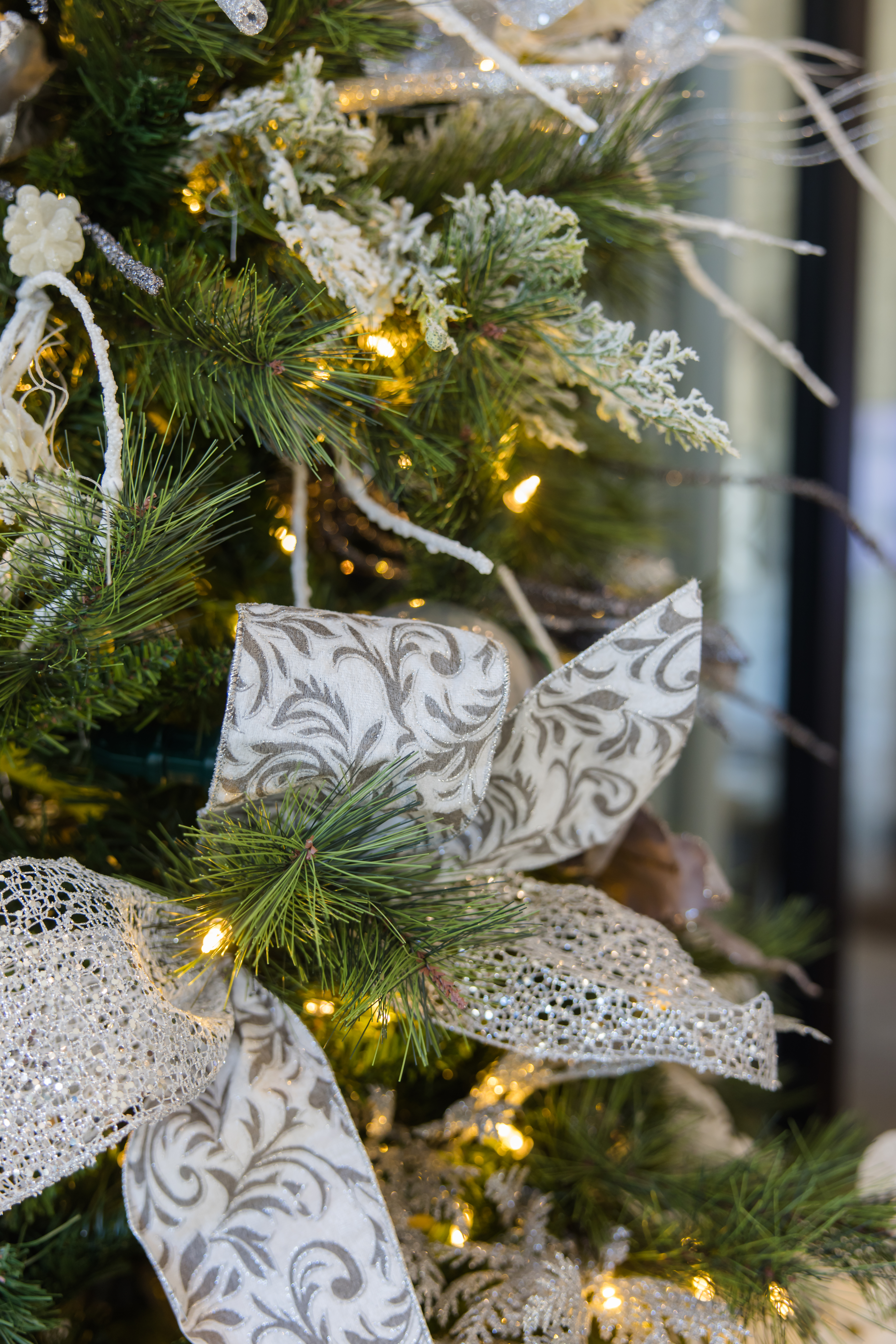 A Tour of Trees with a Heart