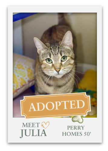 Meet The Pets at Grange!