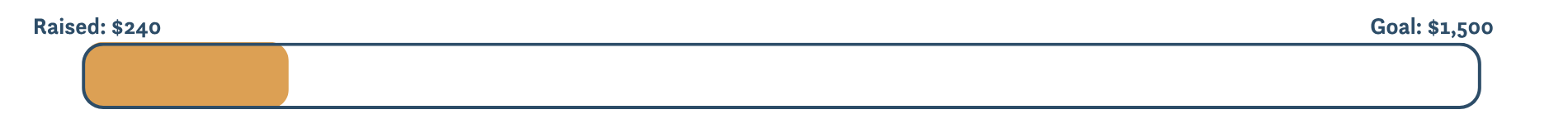 Donation Meter