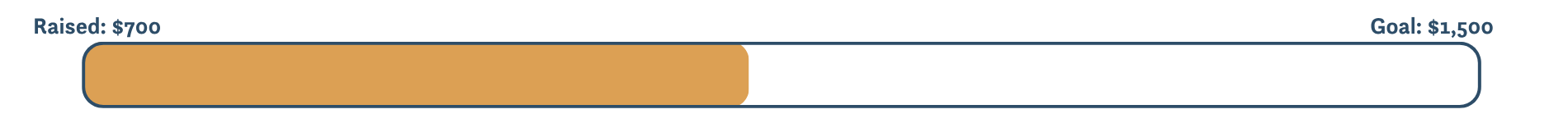 Donation Meter