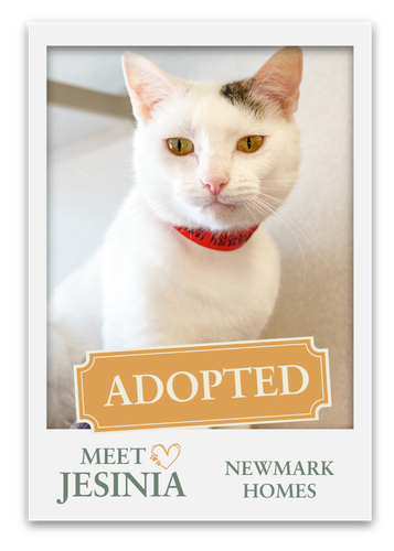 Meet The Pets at Grange!