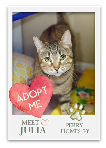 Meet The Pets at Grange!